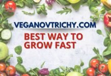 VeganovTrichy.com: A Complete Guide to Features, How to use, Safety & More veganovtrichy.com