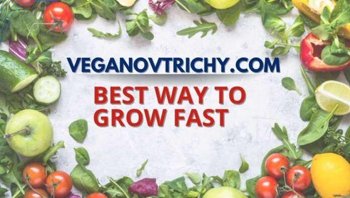 veganovtrichy.com veganovtrichy.com